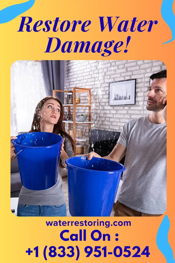 water restoration Eco Disaster Cleanup LLC Aurora