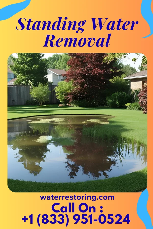 Standing Water Removal in Aurora, KS